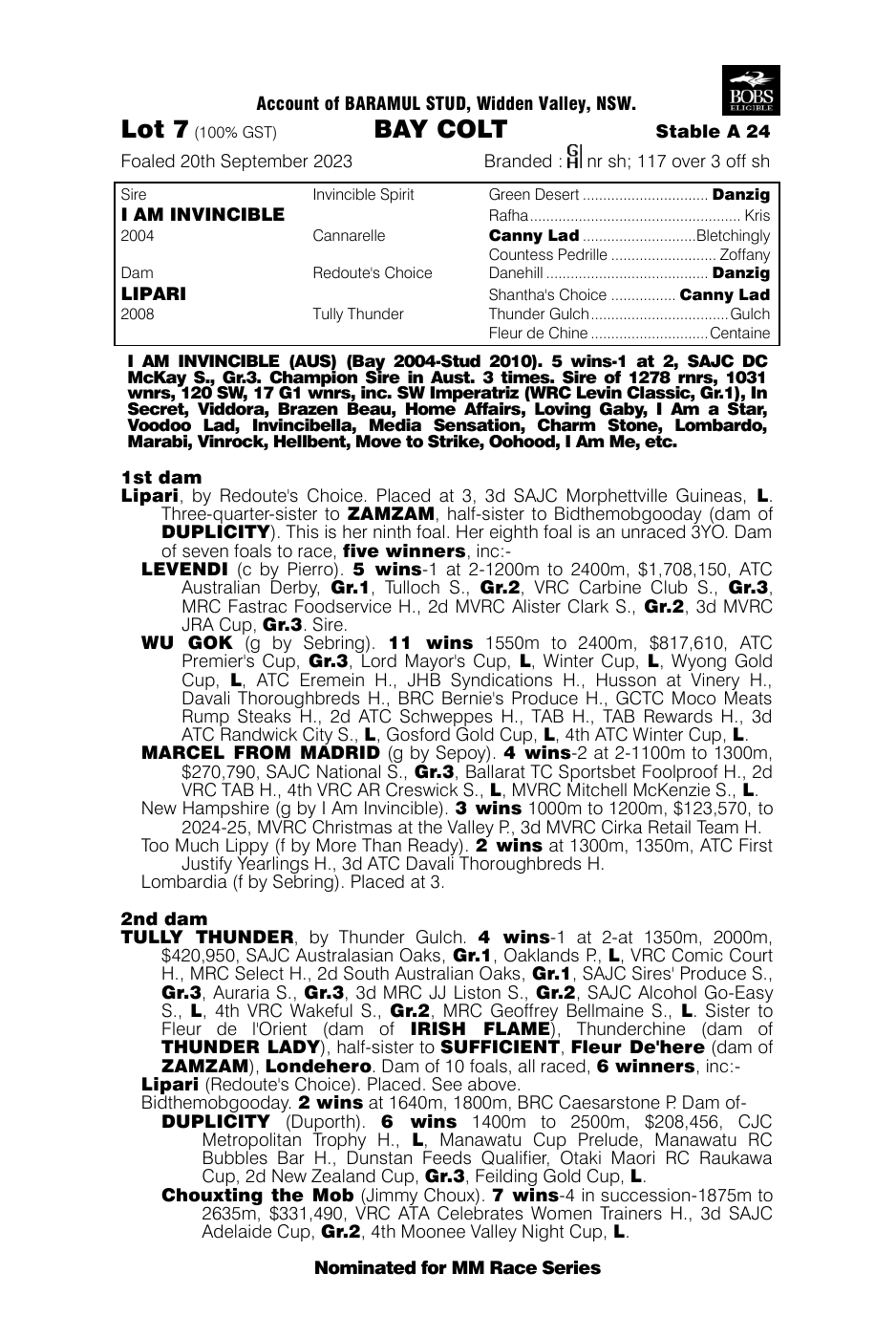 Pedigree - Lot 7
