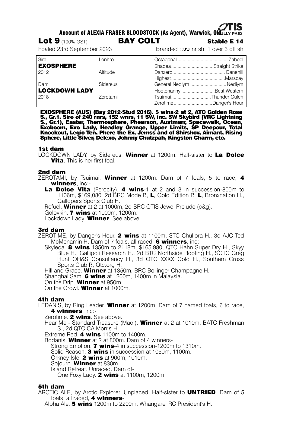 Pedigree - Lot 9