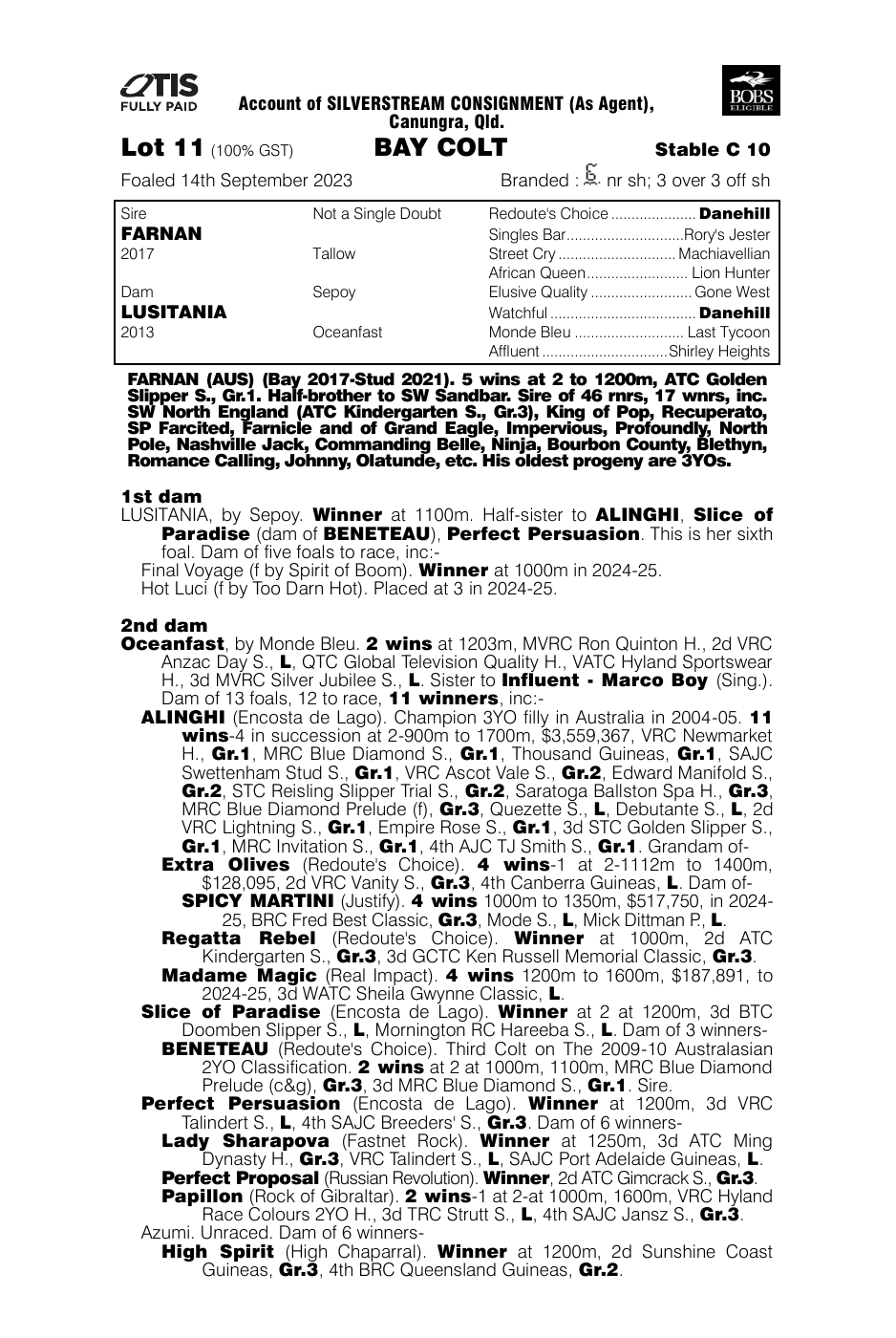 Pedigree - Lot 11