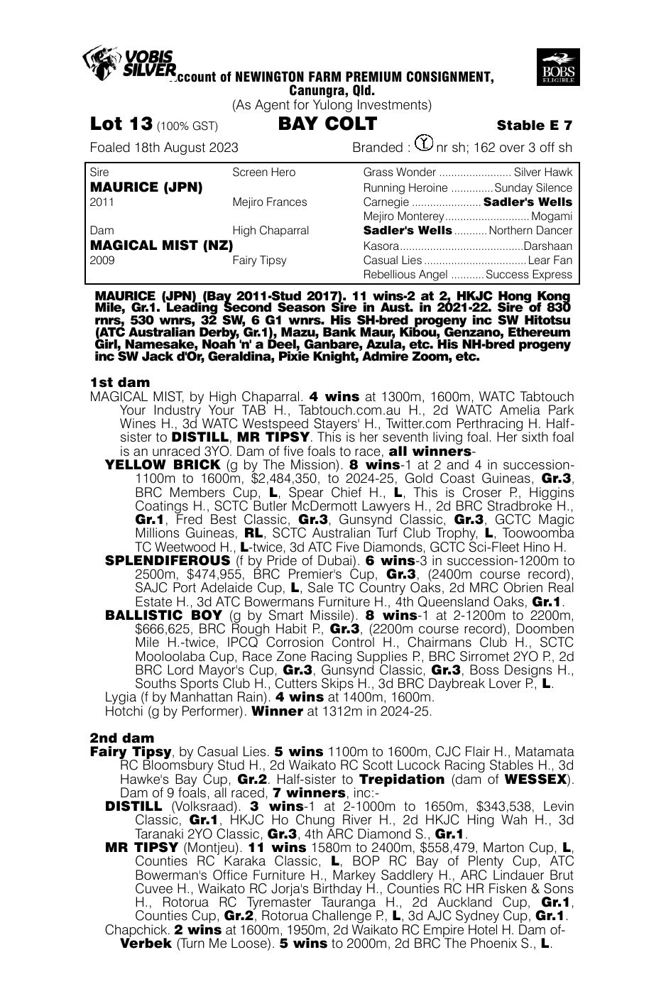 Pedigree - Lot 13