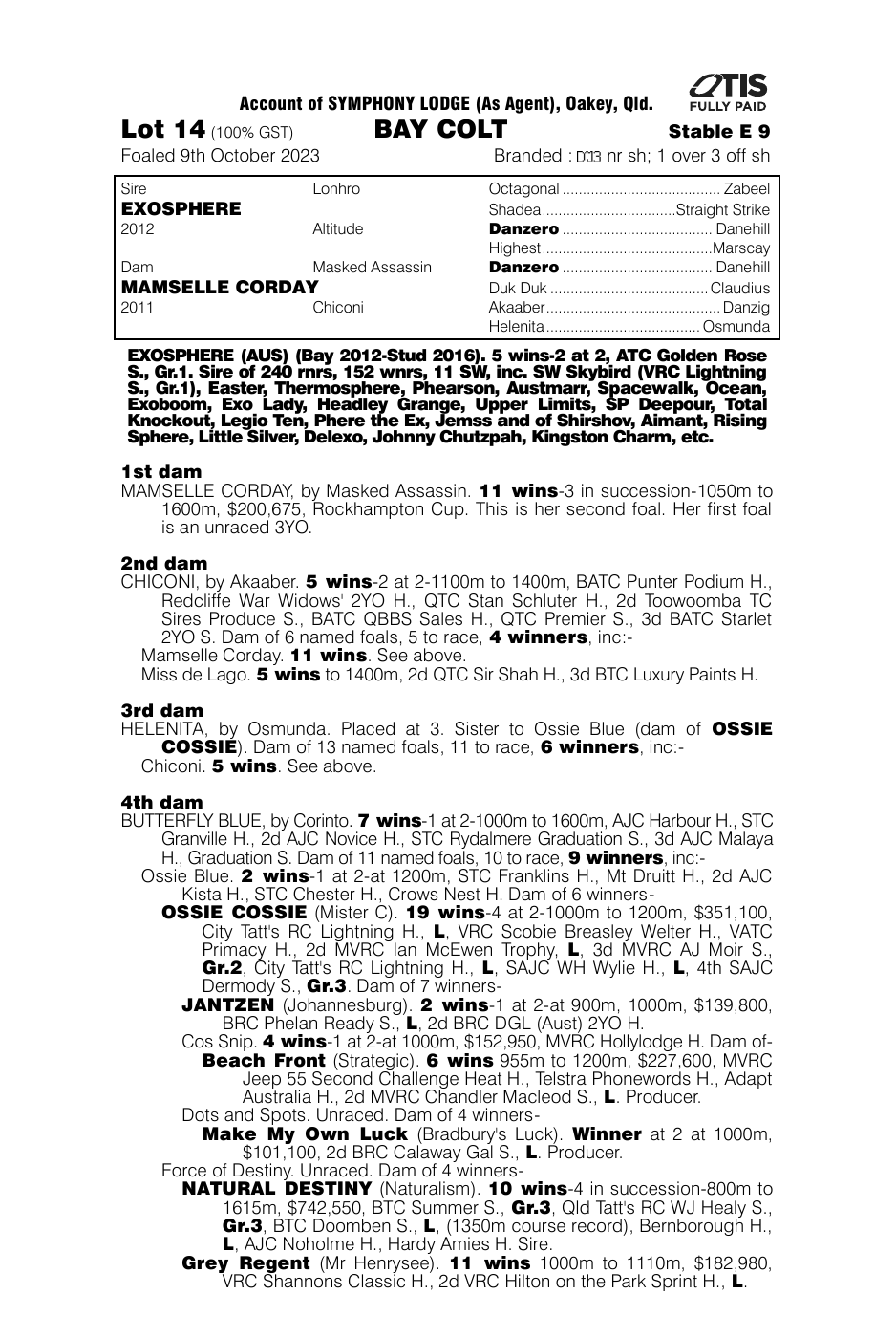 Pedigree - Lot 14