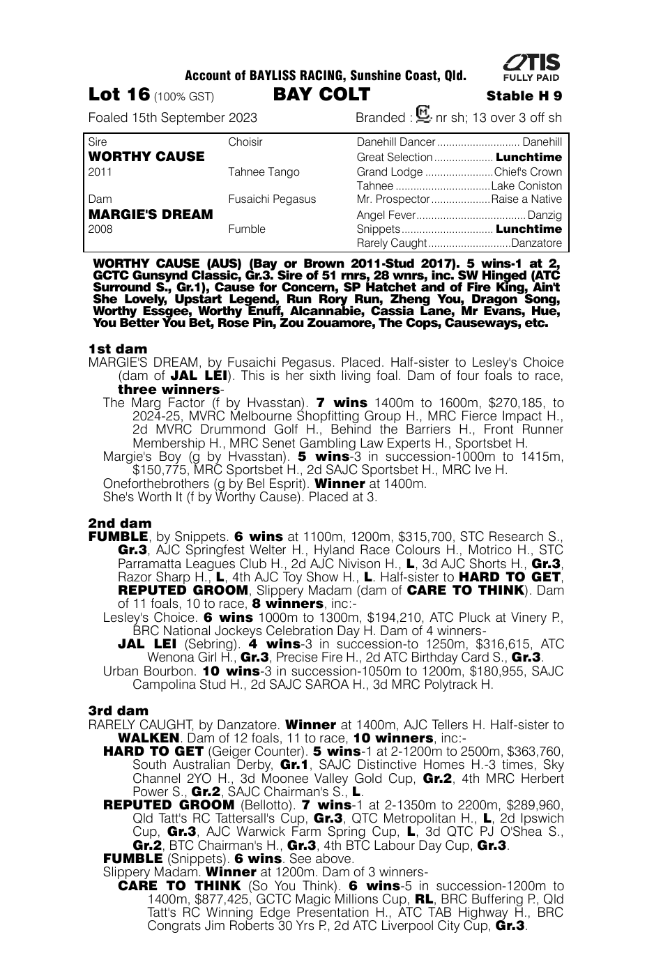 Pedigree - Lot 16