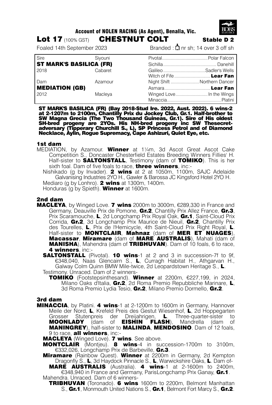 Pedigree - Lot 17