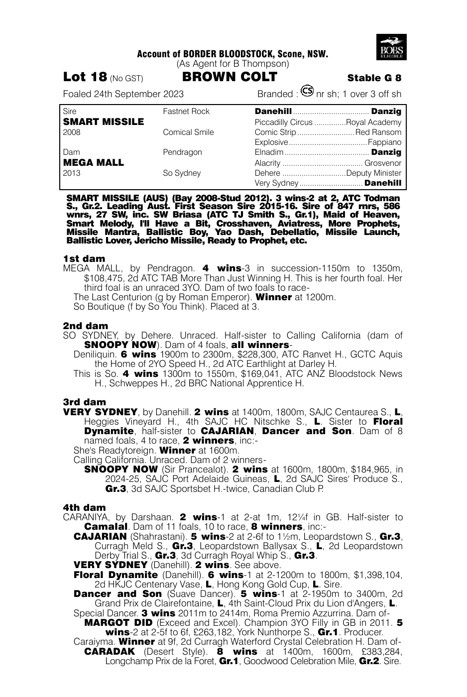 Pedigree - Lot 18