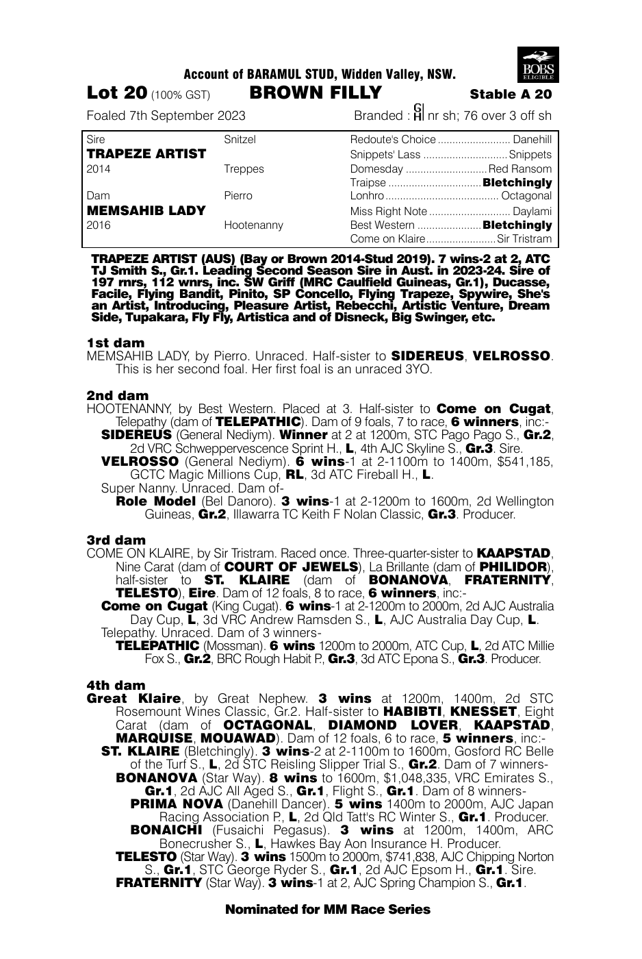 Pedigree - Lot 20