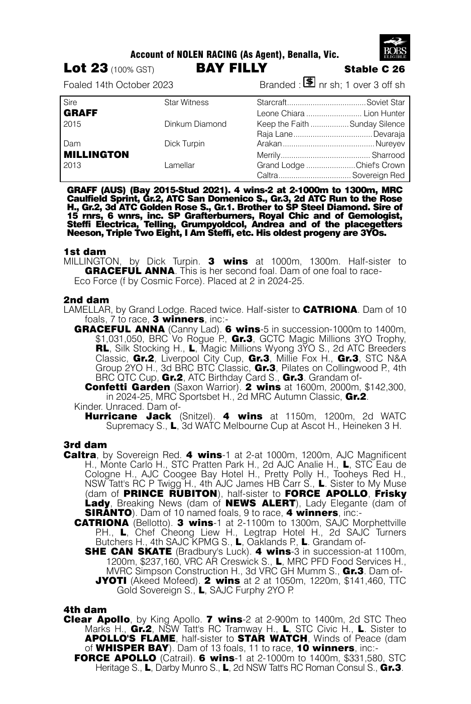 Pedigree - Lot 23