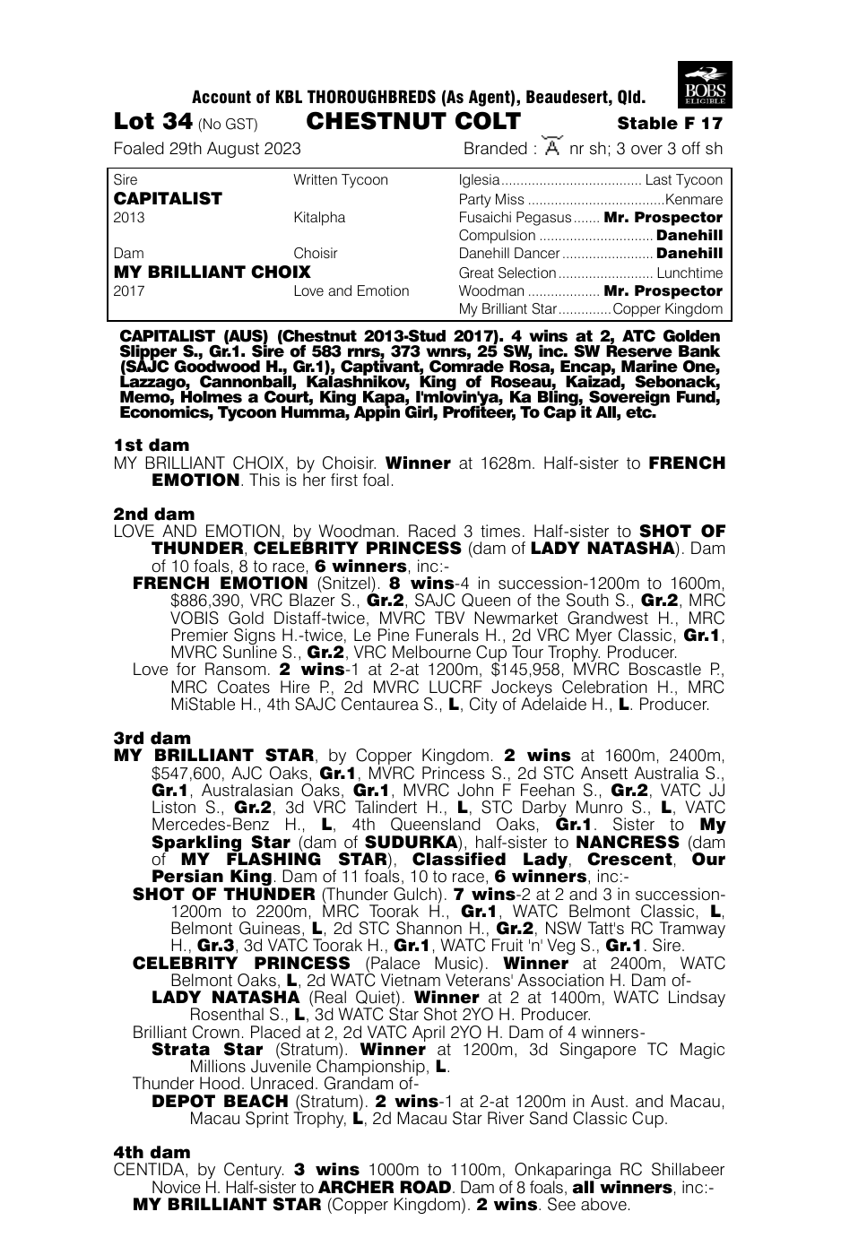 Pedigree - Lot 34