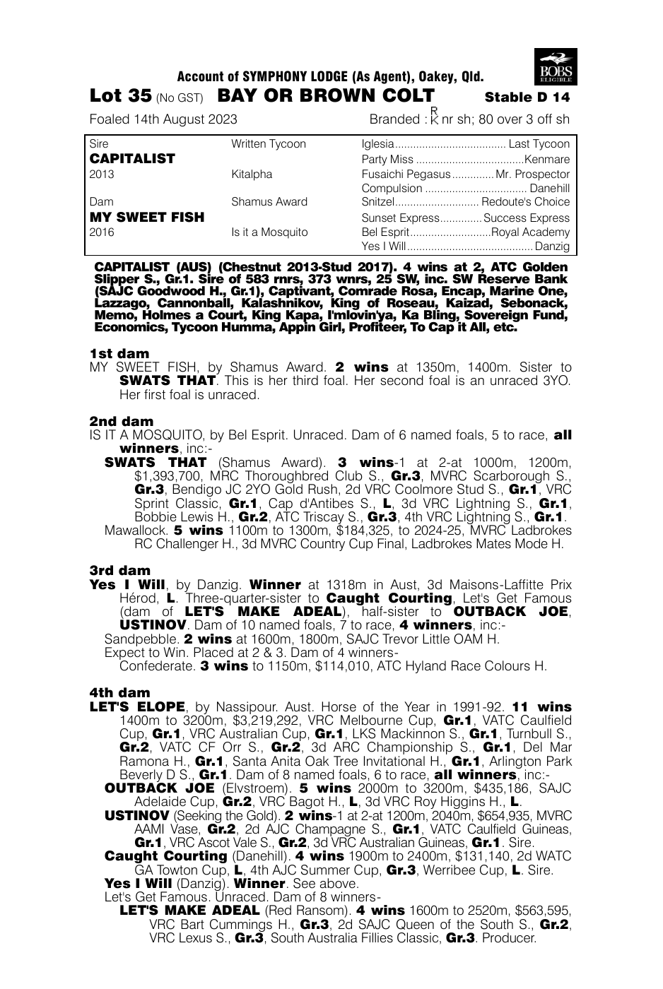 Pedigree - Lot 35