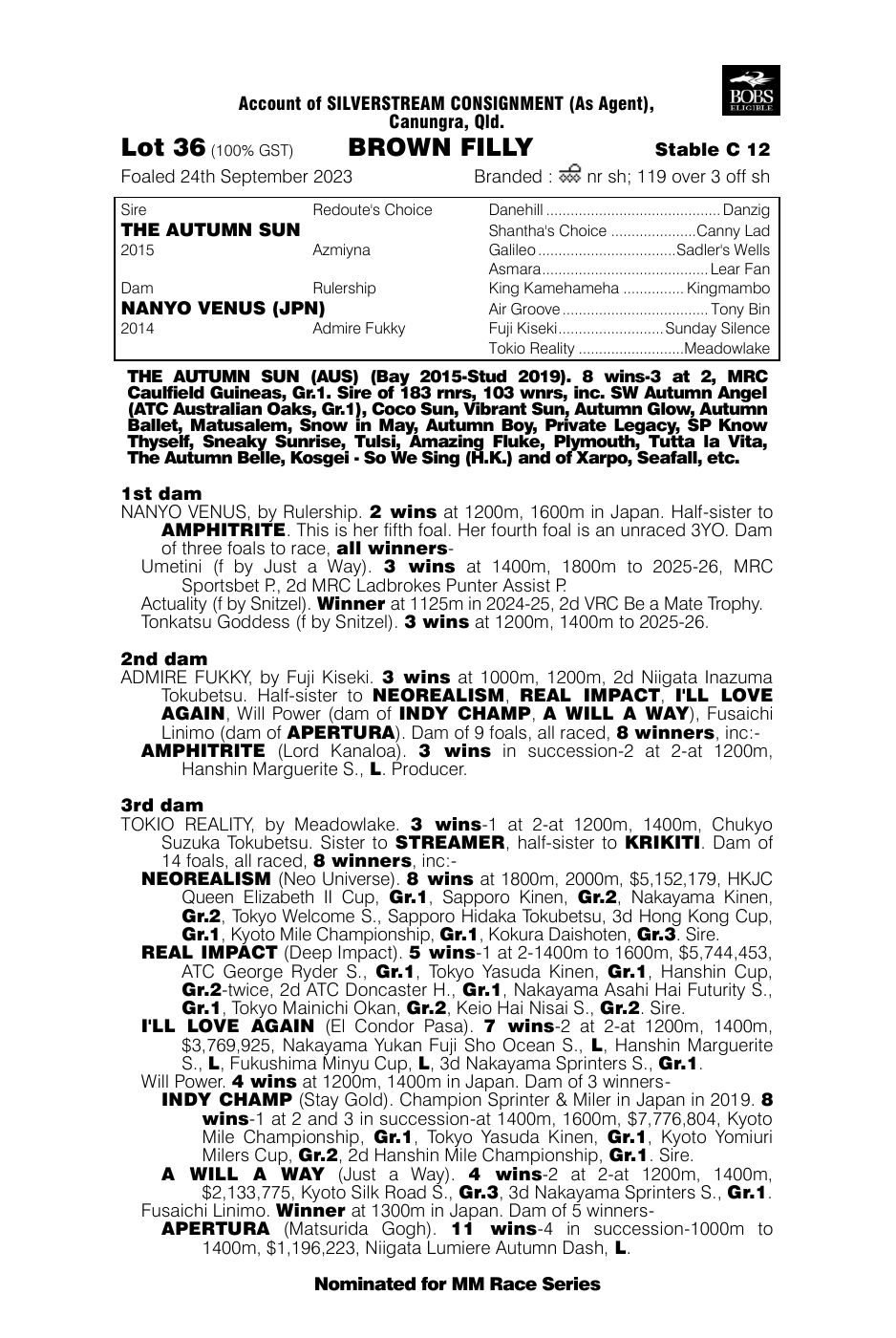 Pedigree - Lot 36
