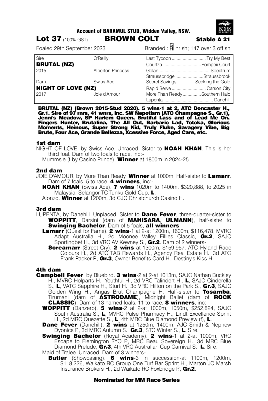 Pedigree - Lot 37