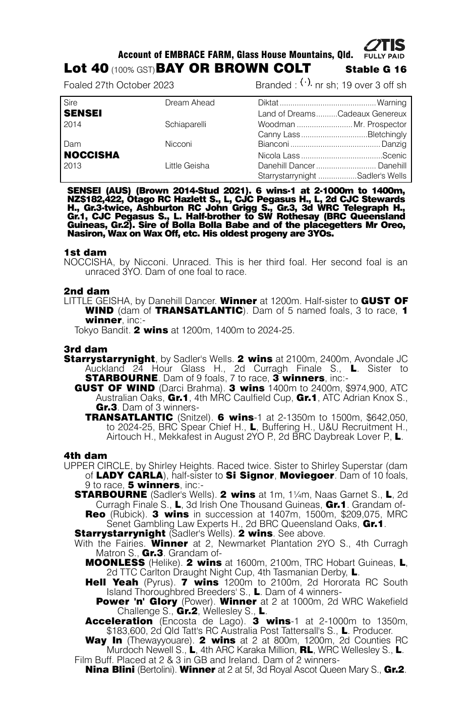 Pedigree - Lot 40