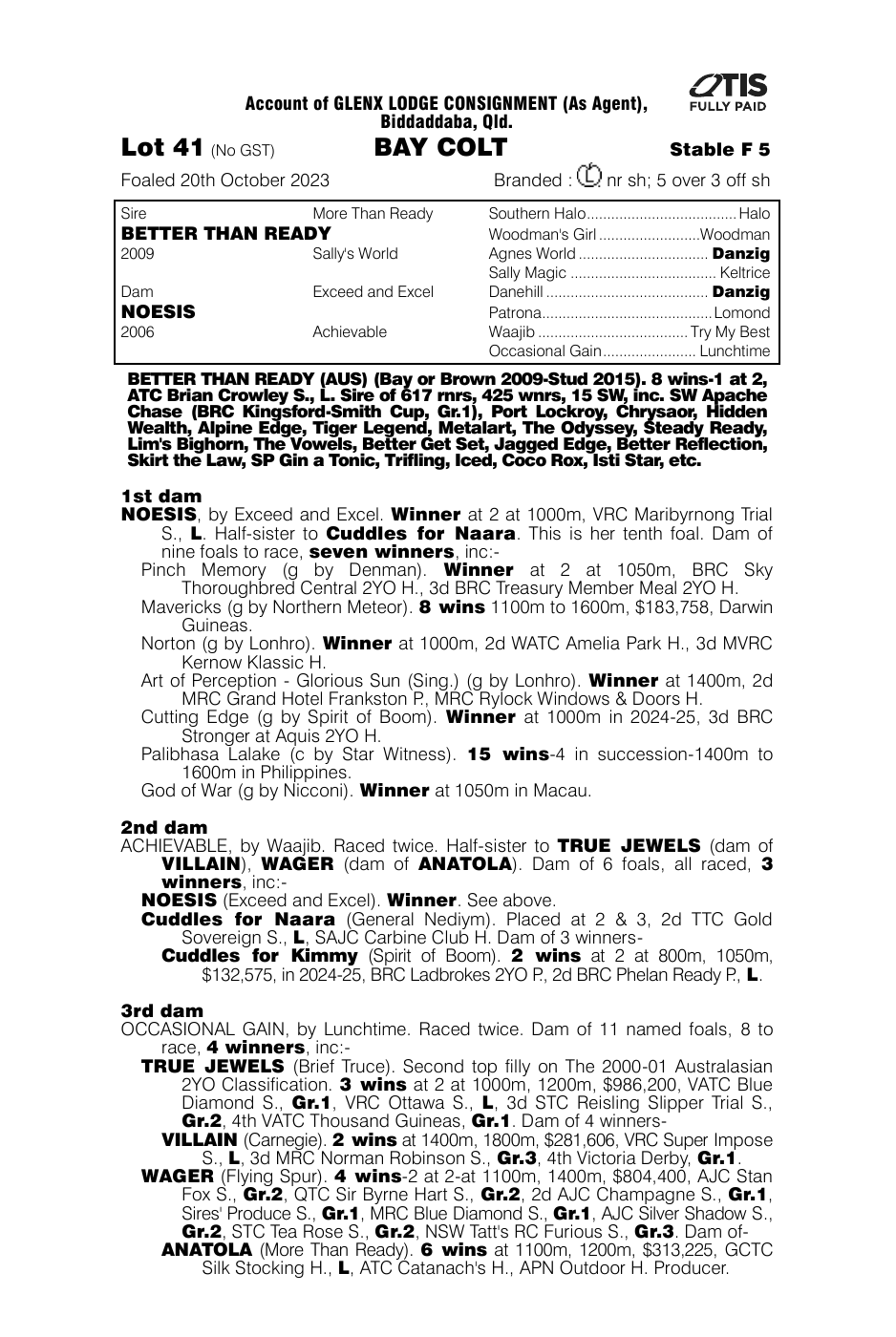 Pedigree - Lot 41