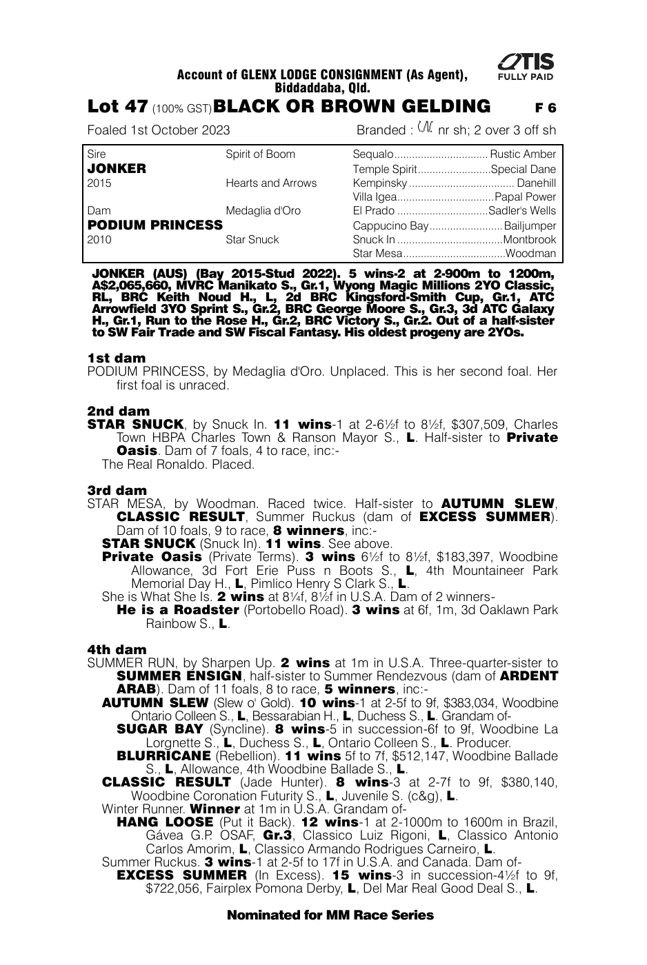 Pedigree - Lot 47