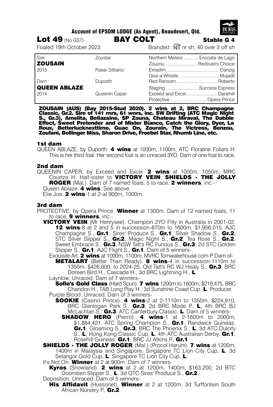 Pedigree - Lot 49
