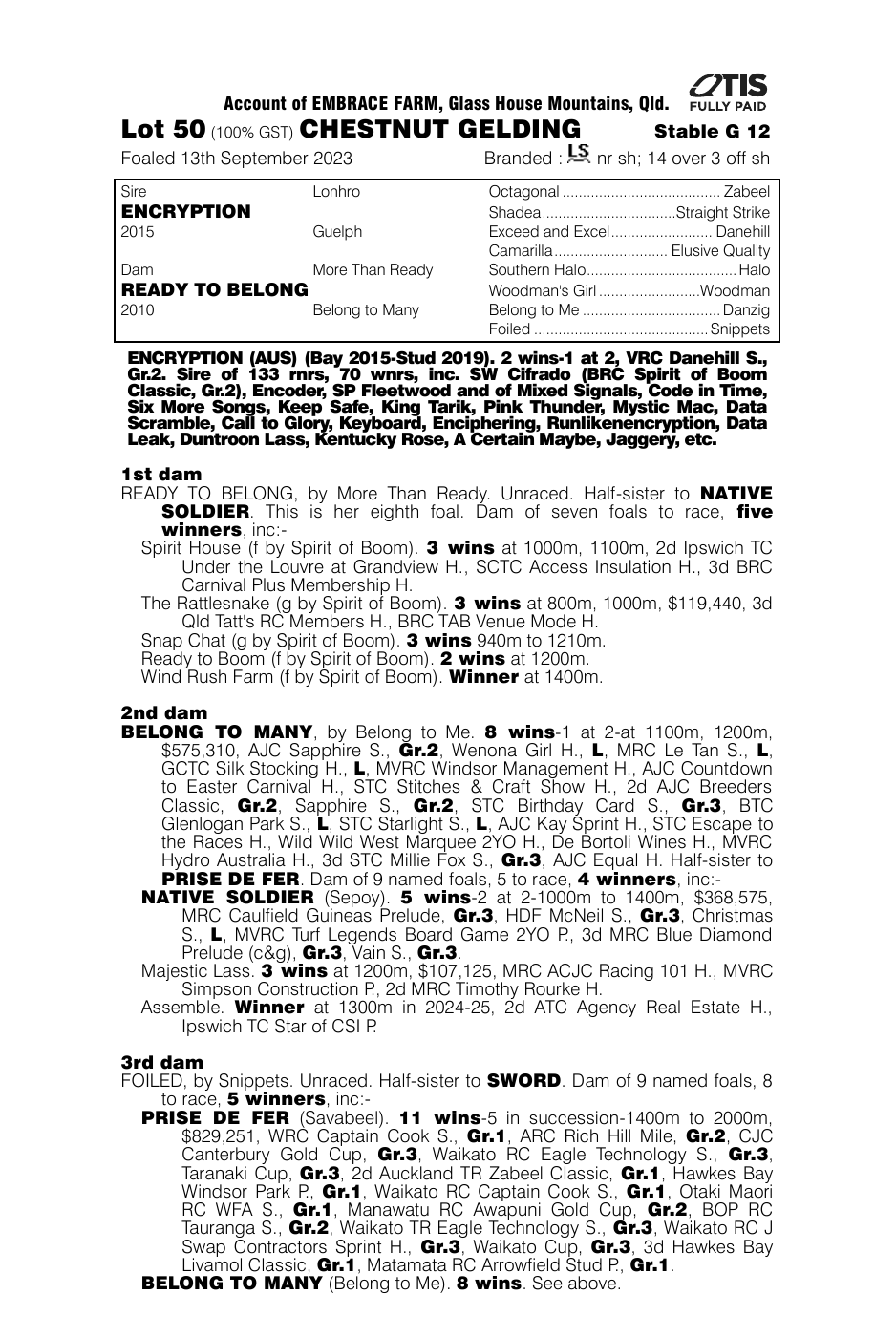 Pedigree - Lot 50