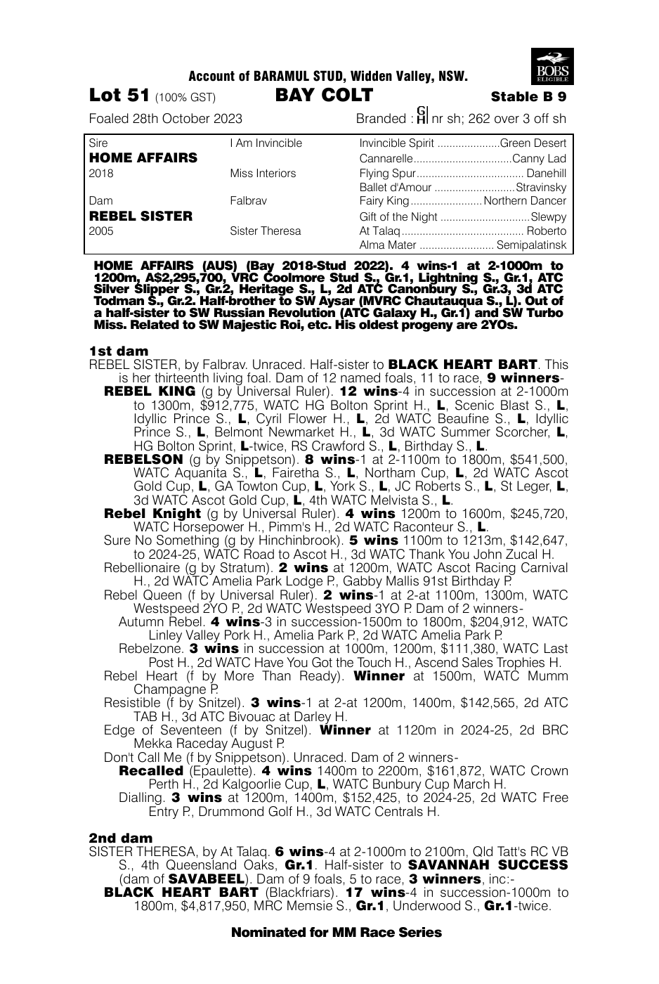 Pedigree - Lot 51