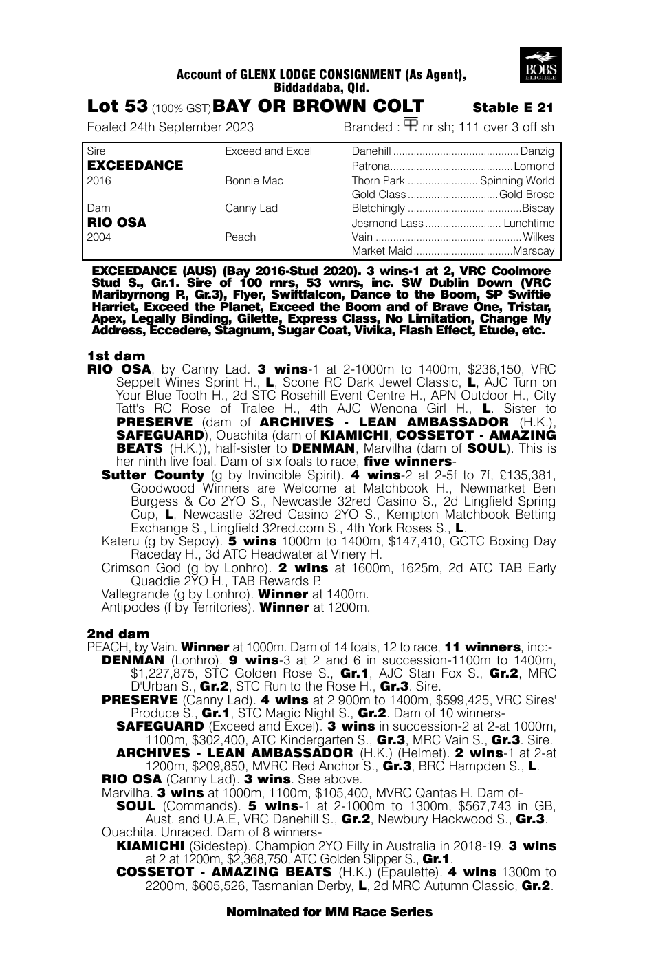 Pedigree - Lot 53