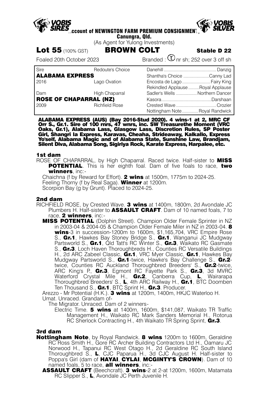 Pedigree - Lot 55