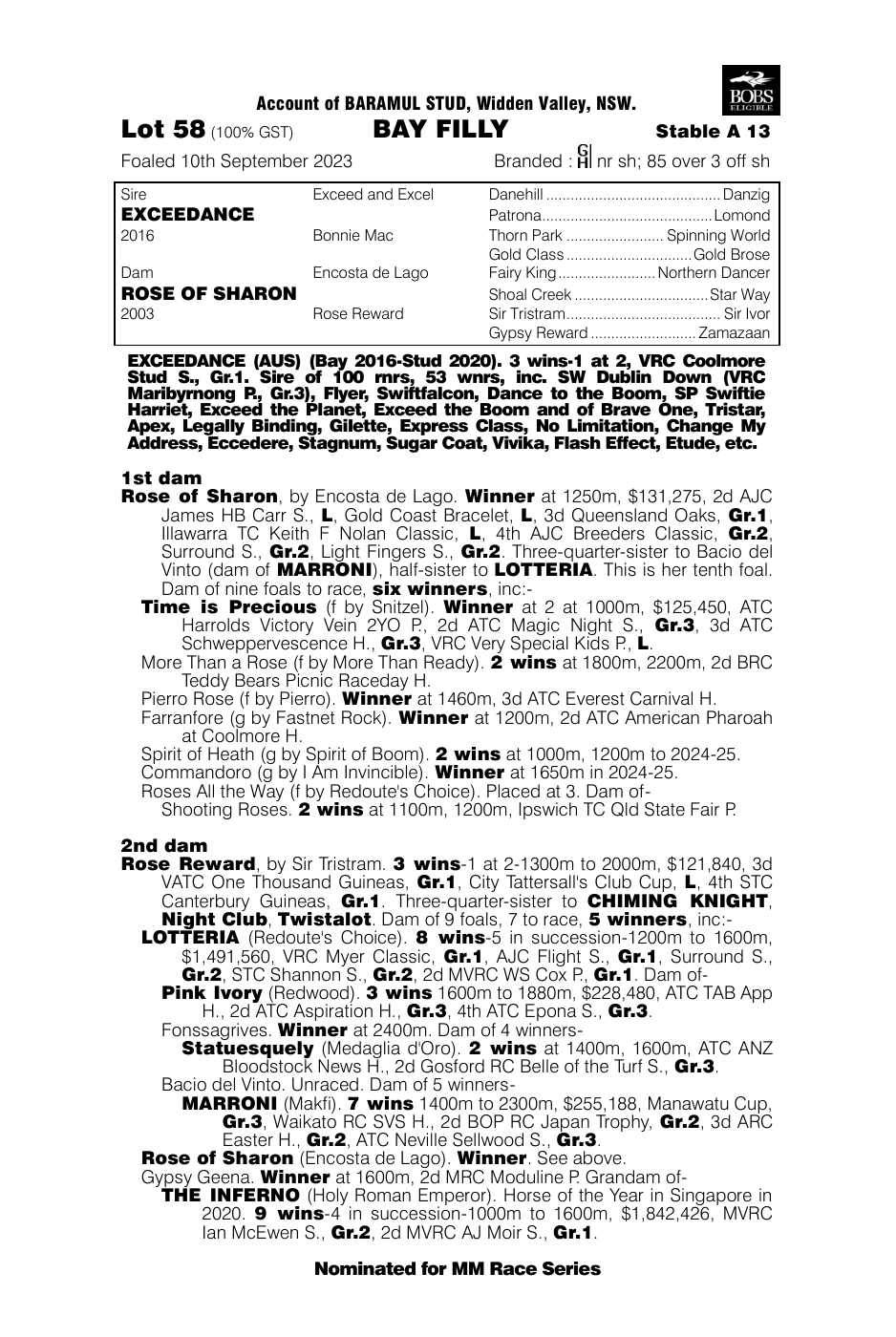Pedigree - Lot 58