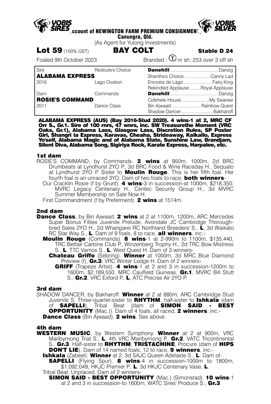 Pedigree - Lot 59