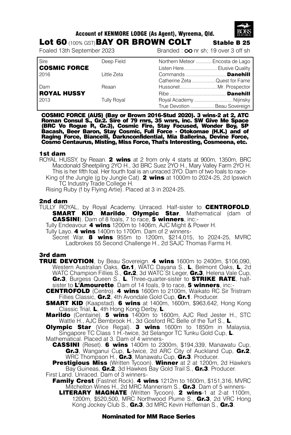 Pedigree - Lot 60