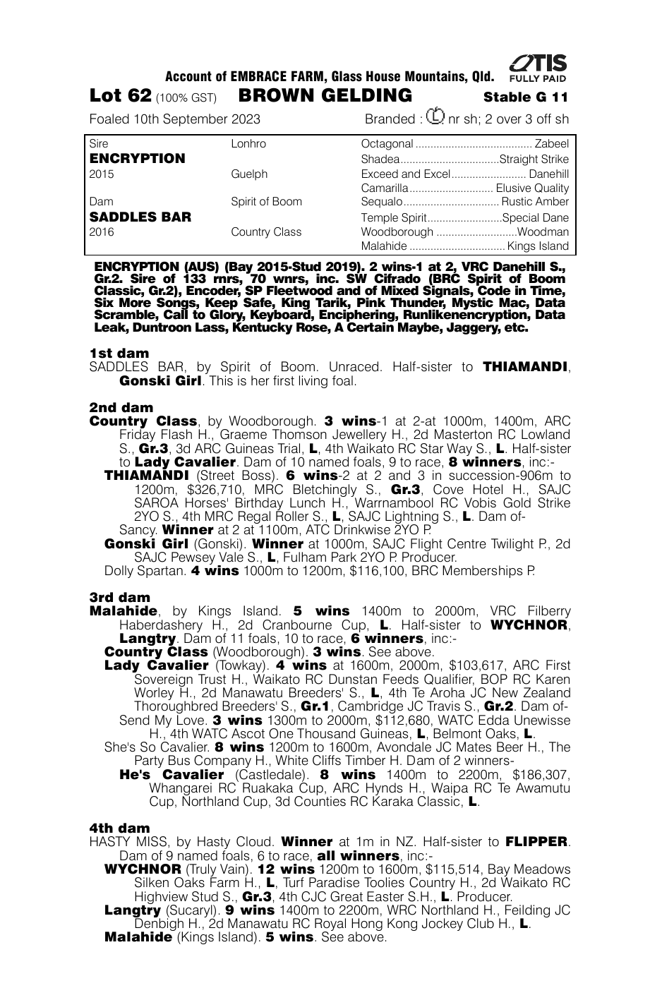 Pedigree - Lot 62