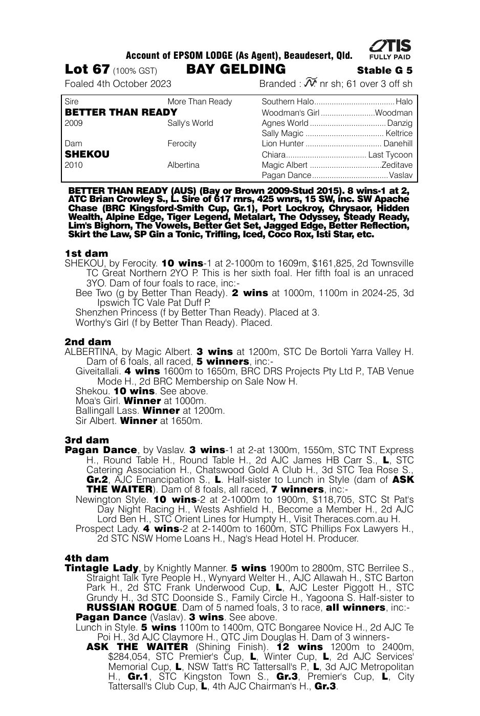 Pedigree - Lot 67