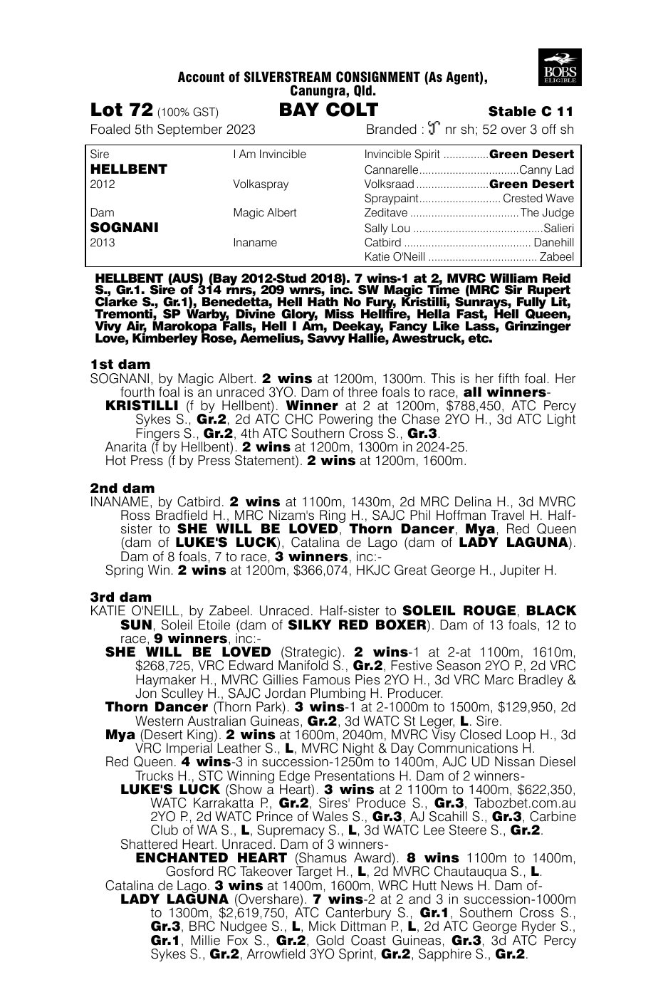 Pedigree - Lot 72