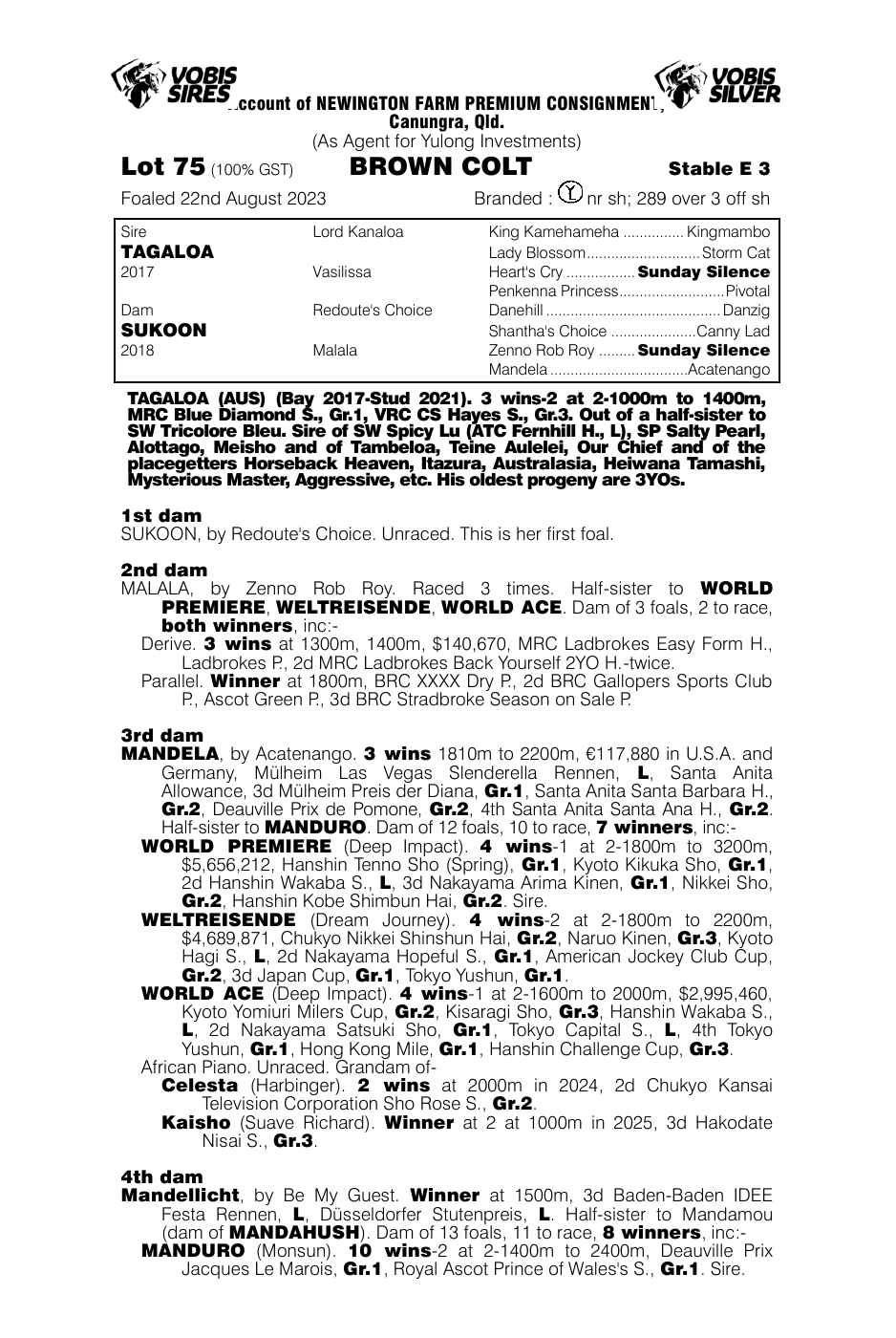 Pedigree - Lot 75
