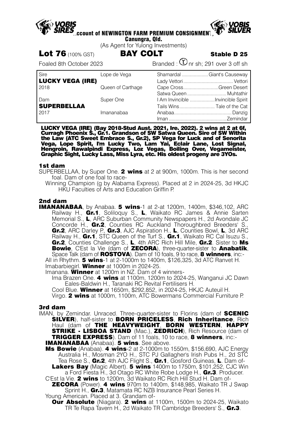 Pedigree - Lot 76