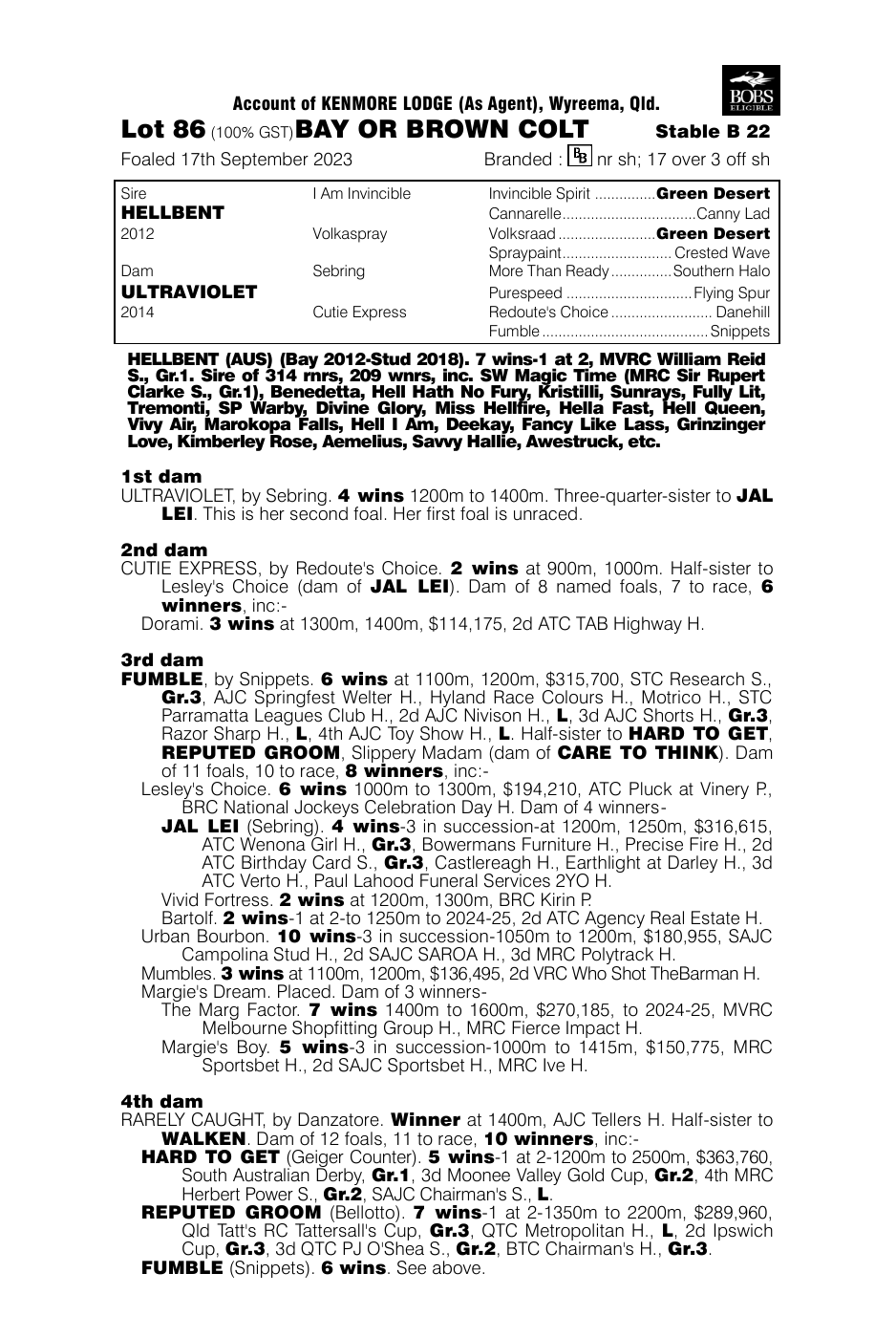 Pedigree - Lot 86