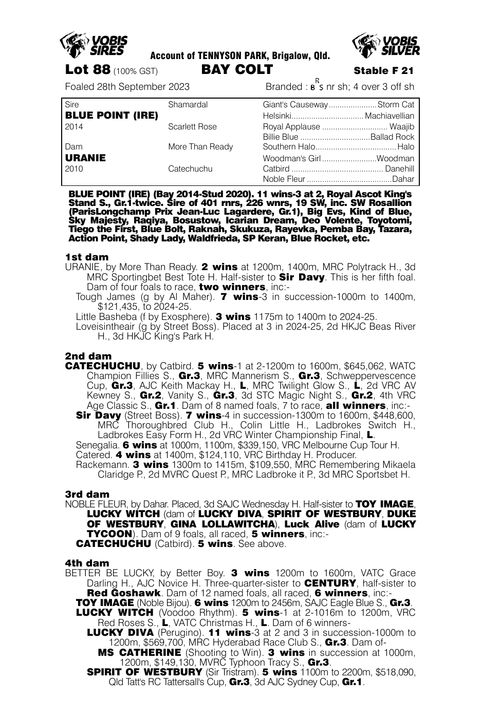 Pedigree - Lot 88