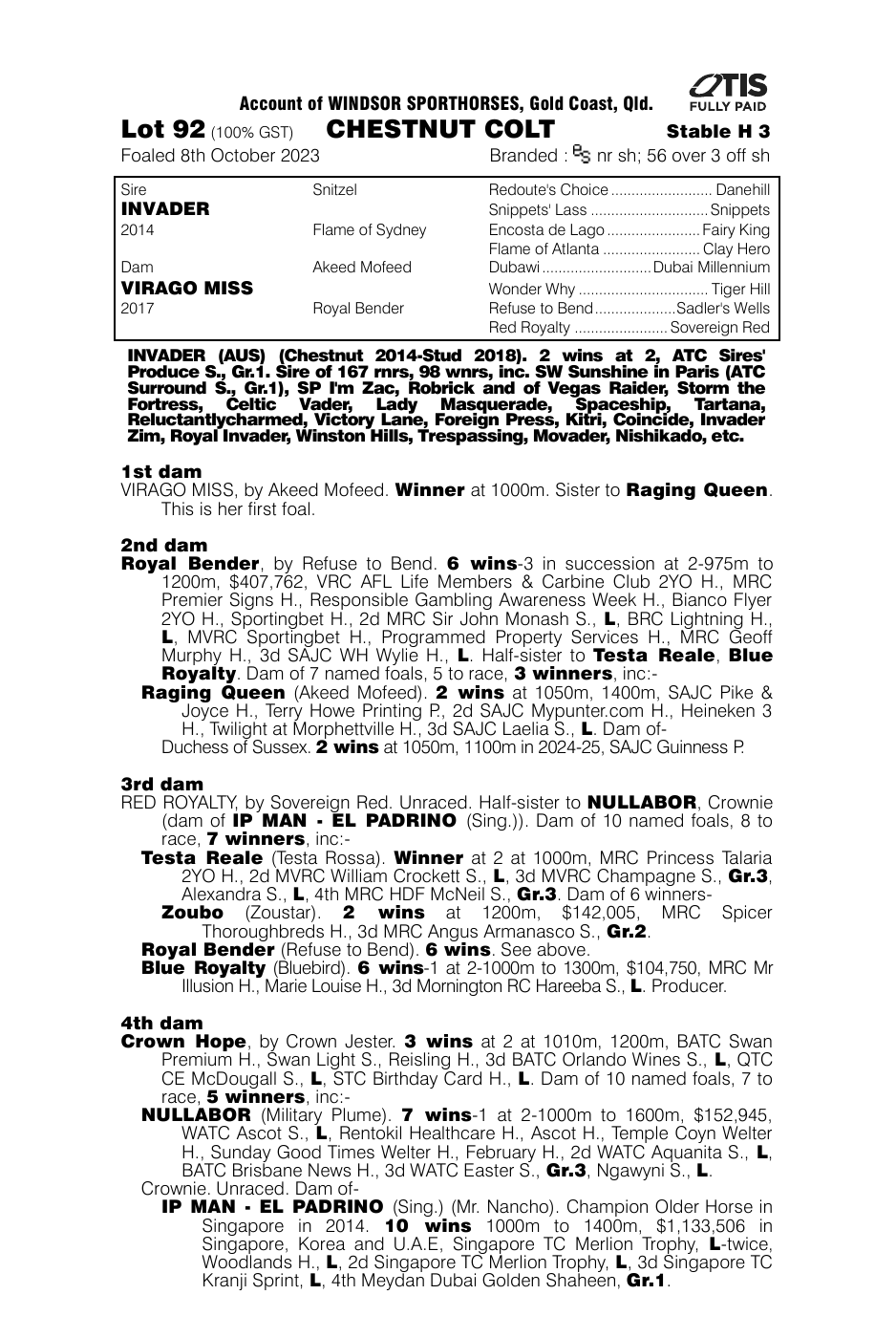 Pedigree - Lot 92