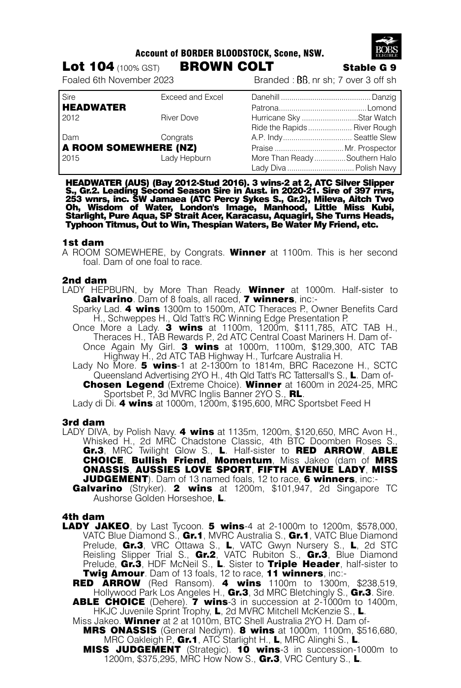 Pedigree - Lot 104