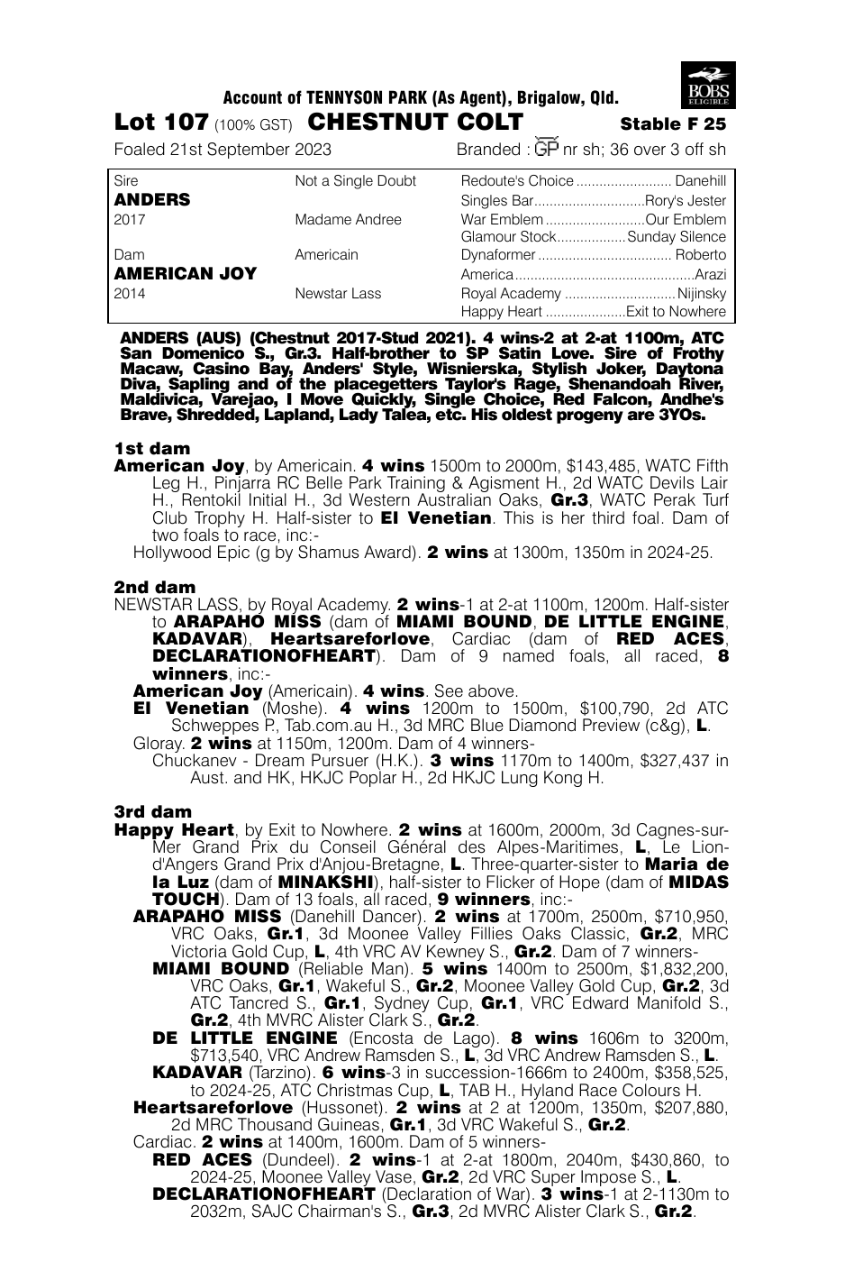 Pedigree - Lot 107