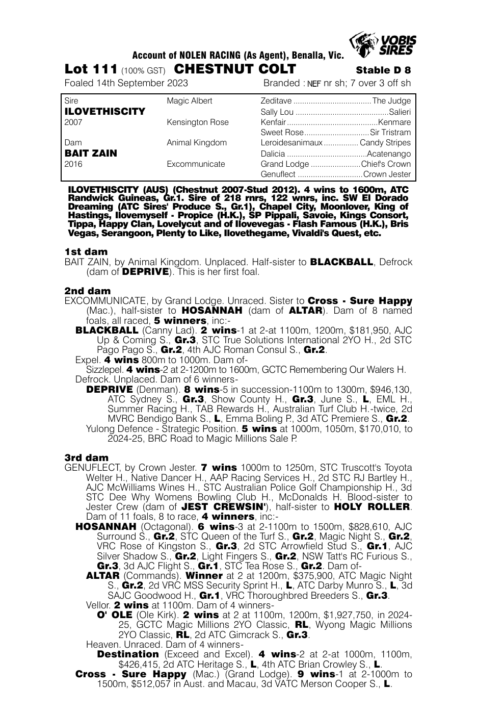 Pedigree - Lot 111