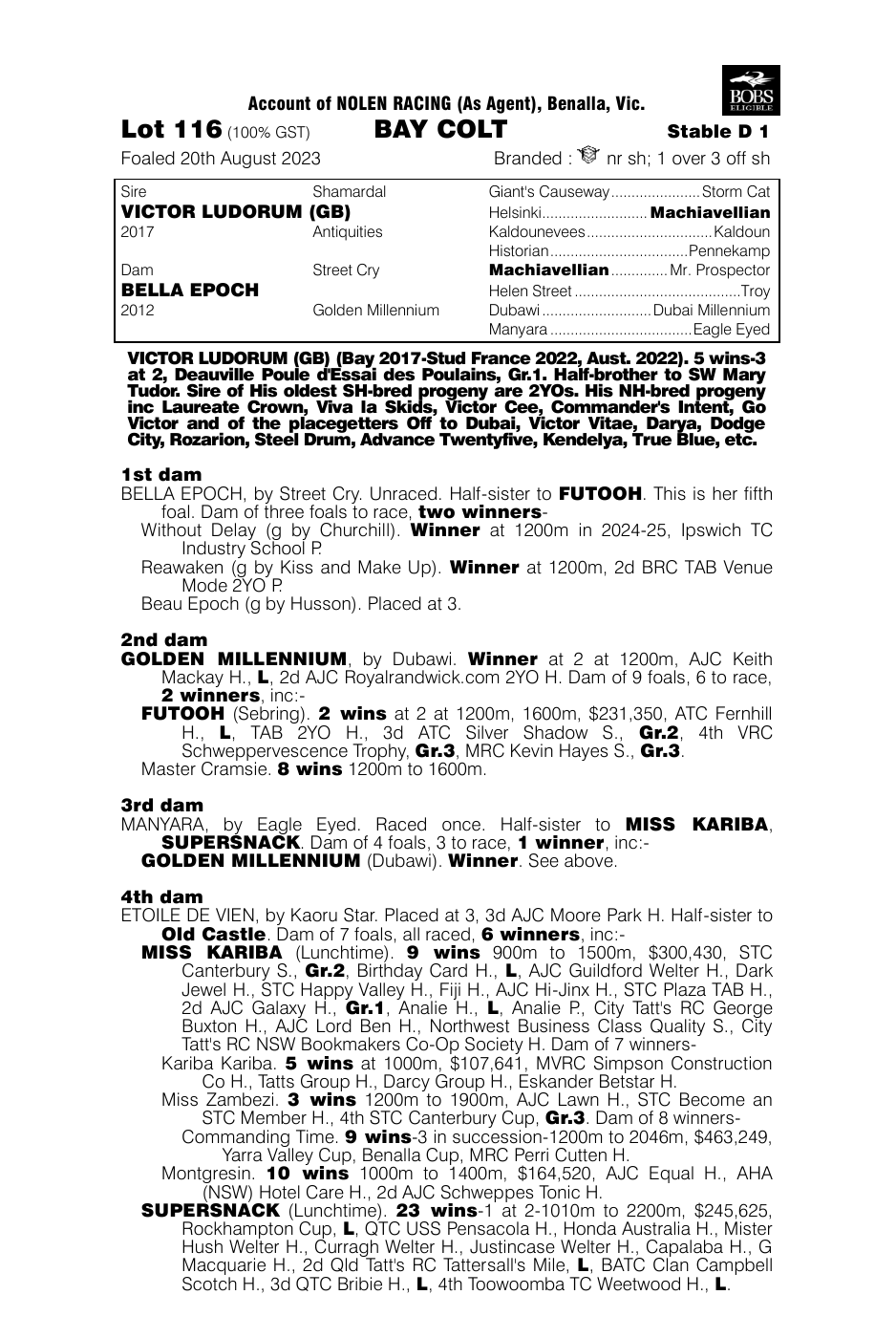 Pedigree - Lot 116
