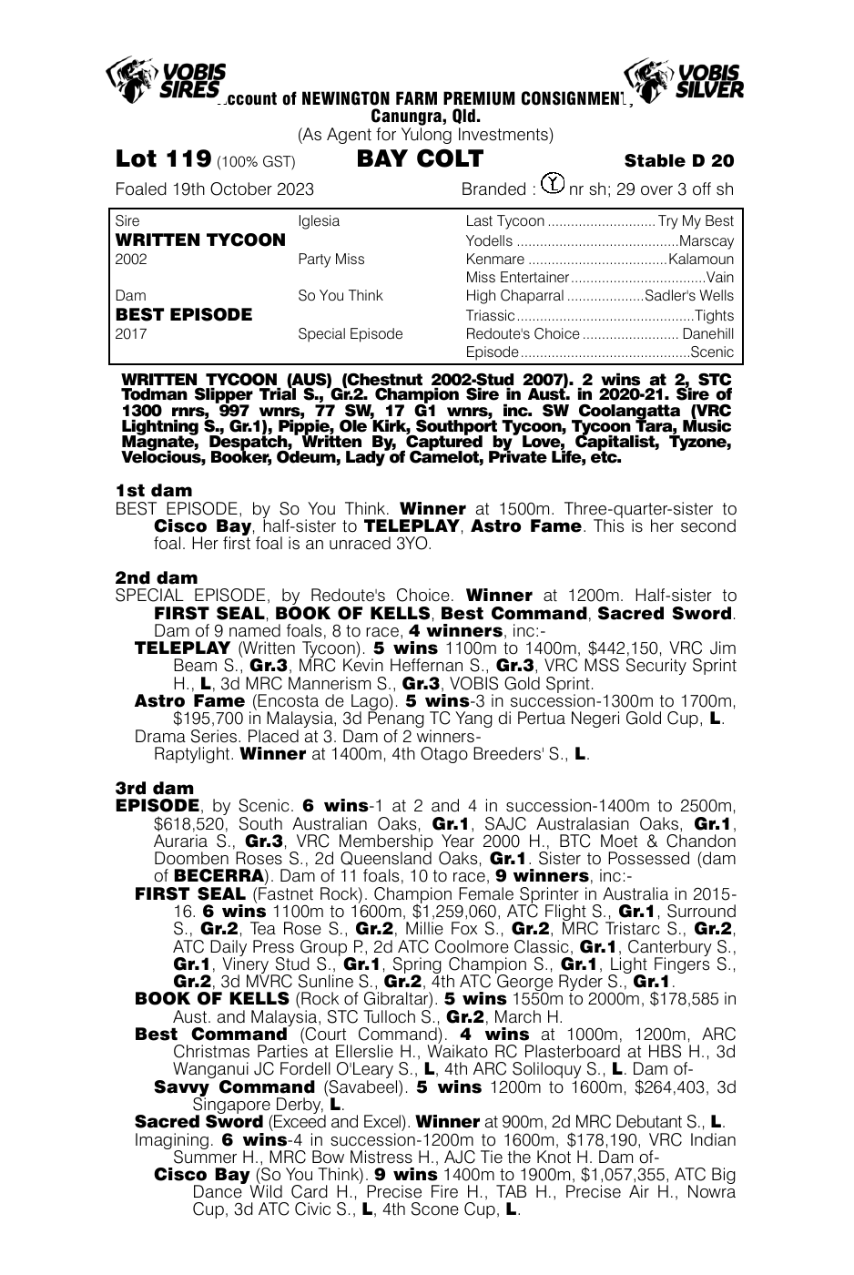 Pedigree - Lot 119