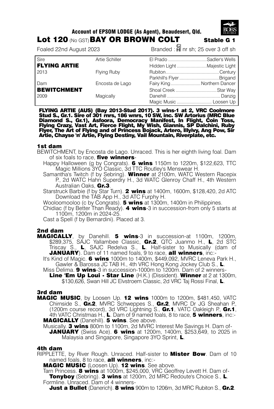 Pedigree - Lot 120