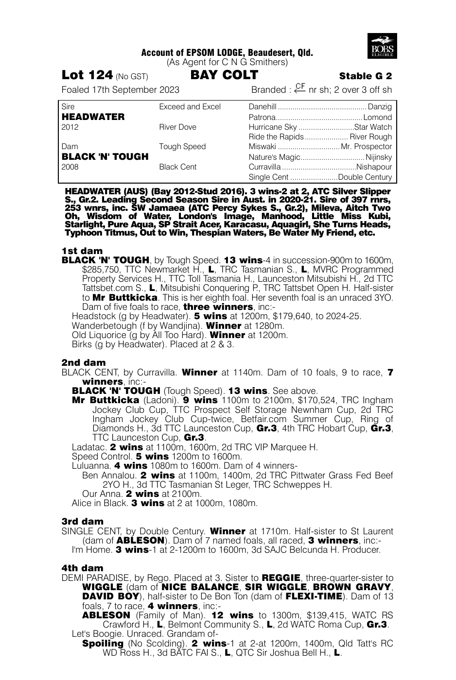 Pedigree - Lot 124