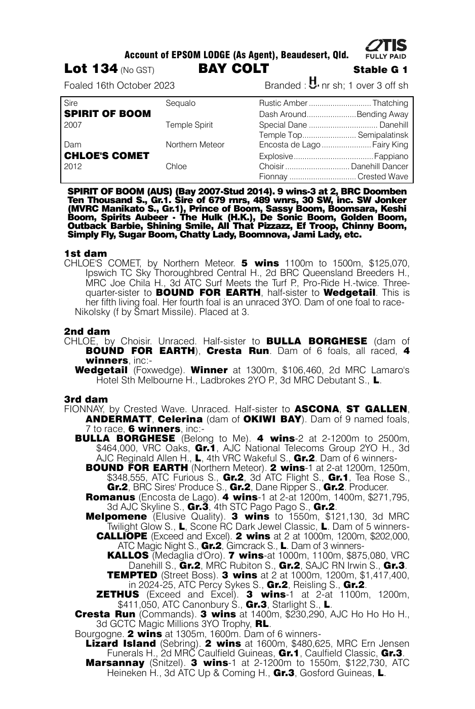Pedigree - Lot 134