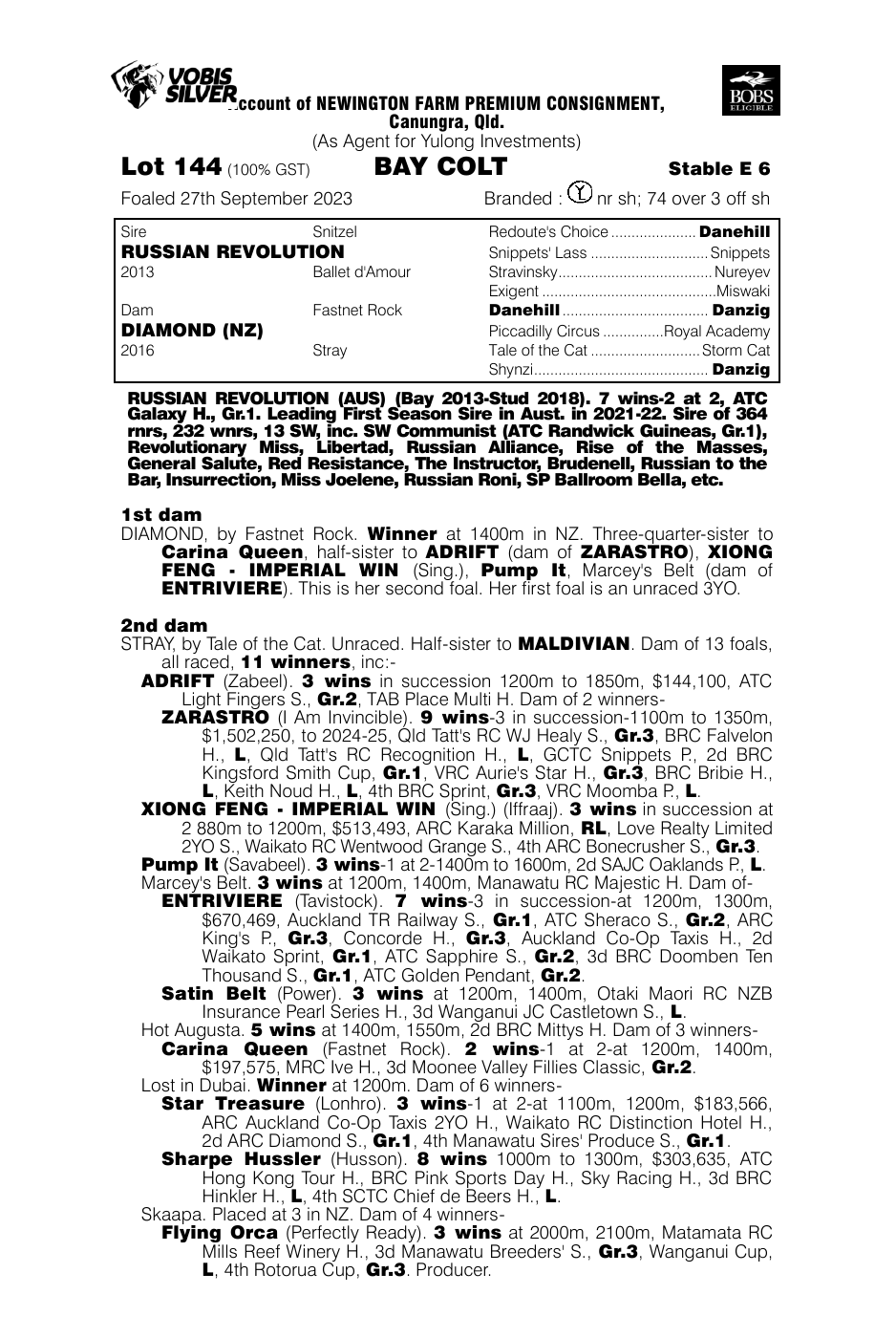 Pedigree - Lot 144