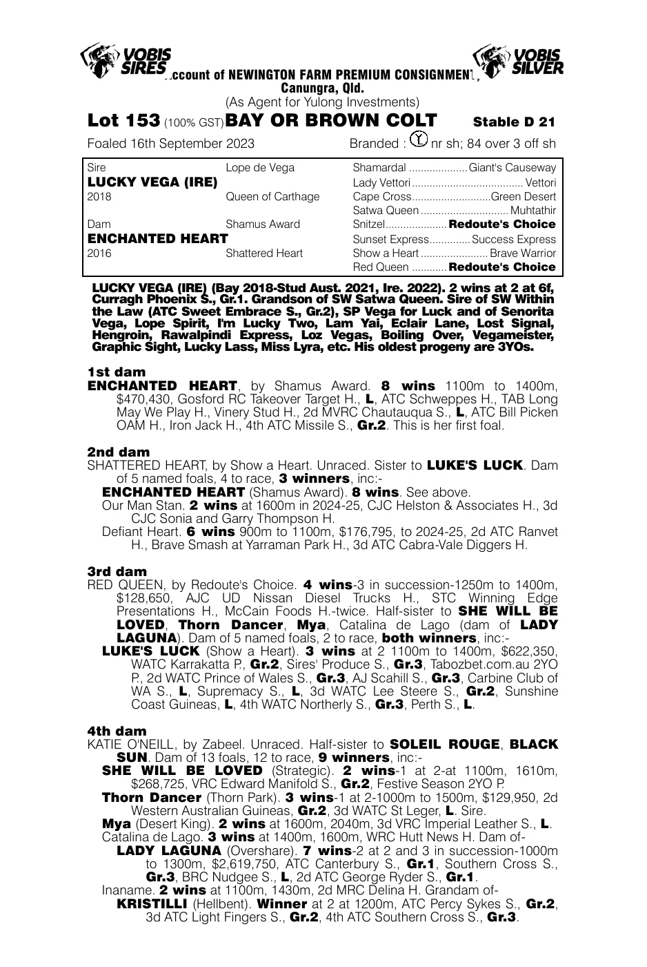 Pedigree - Lot 153