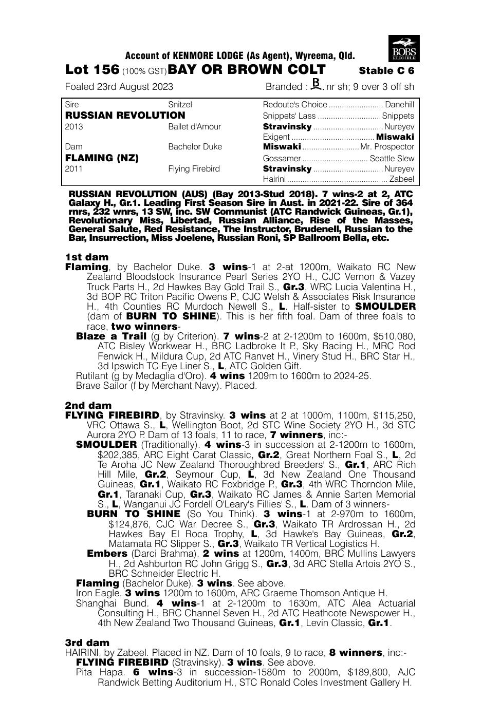 Pedigree - Lot 156