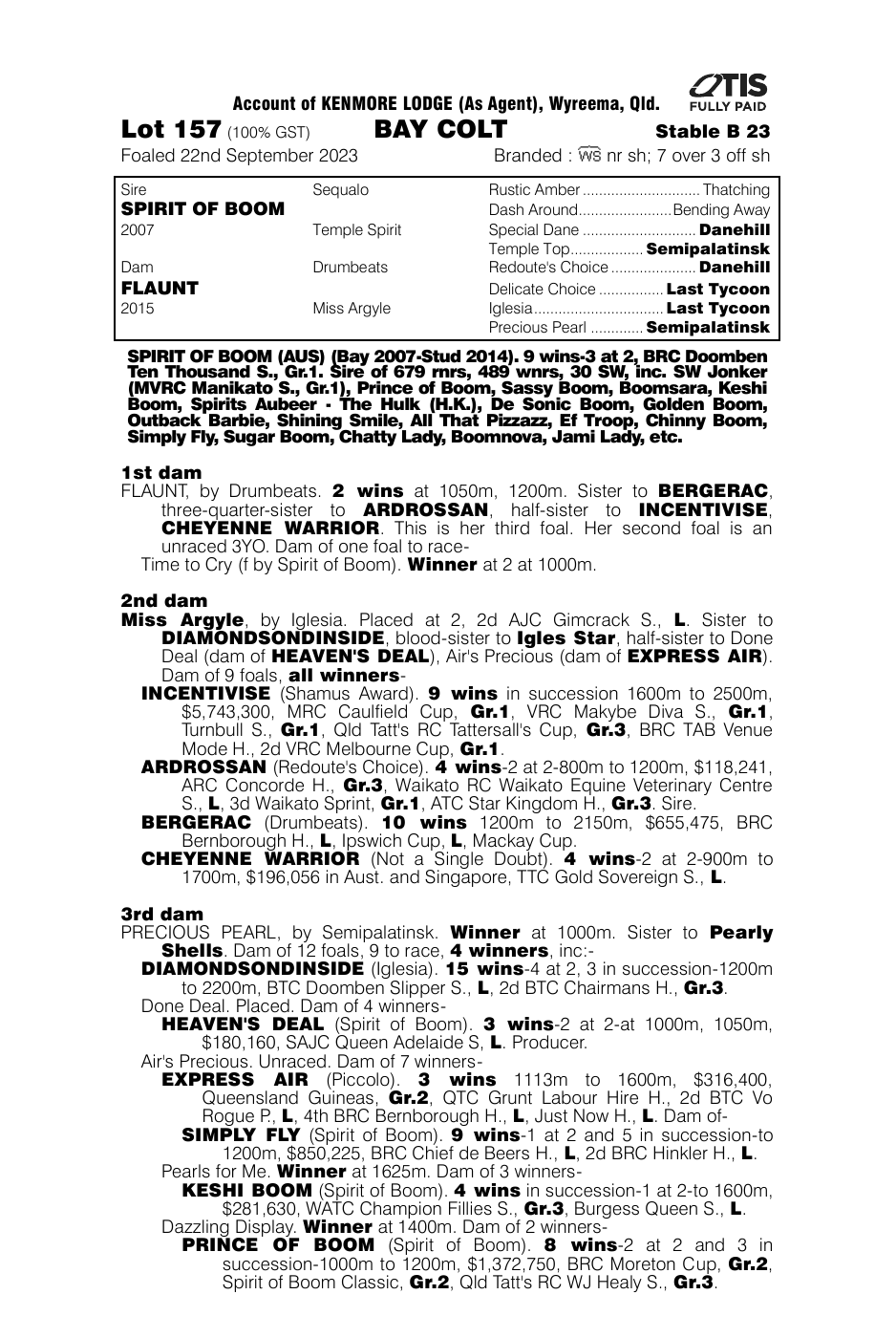 Pedigree - Lot 157
