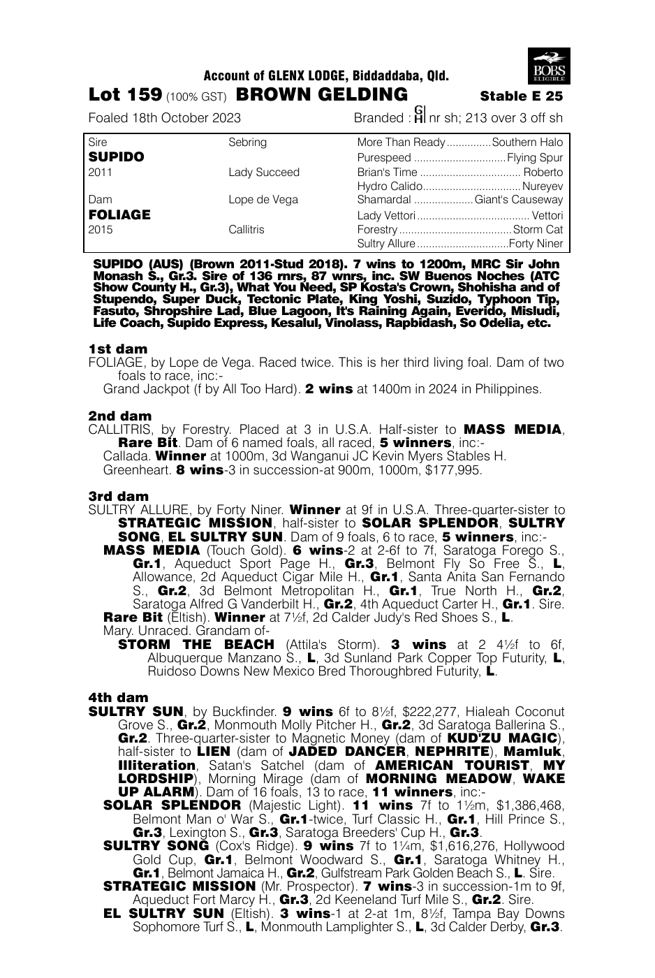 Pedigree - Lot 159