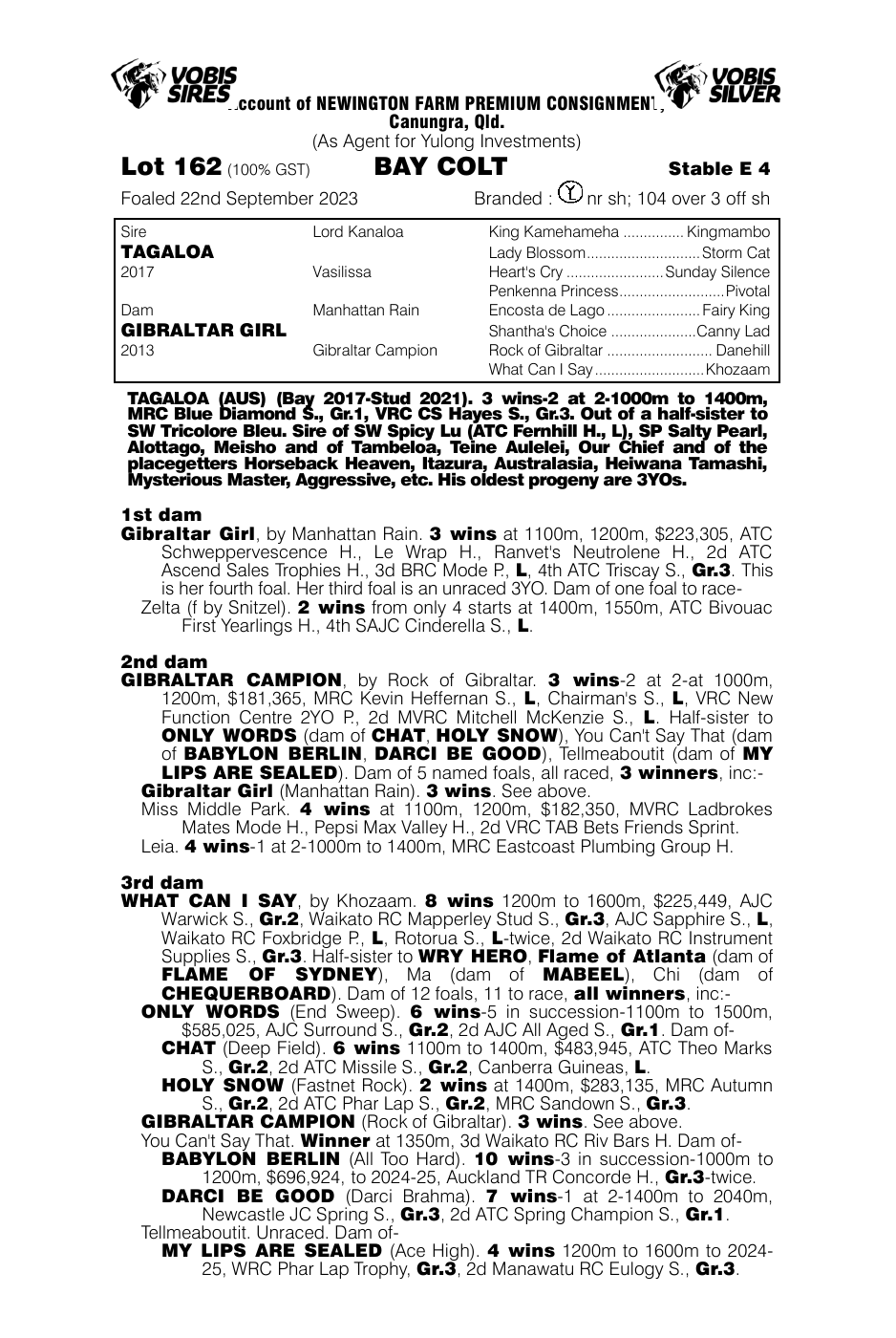 Pedigree - Lot 162