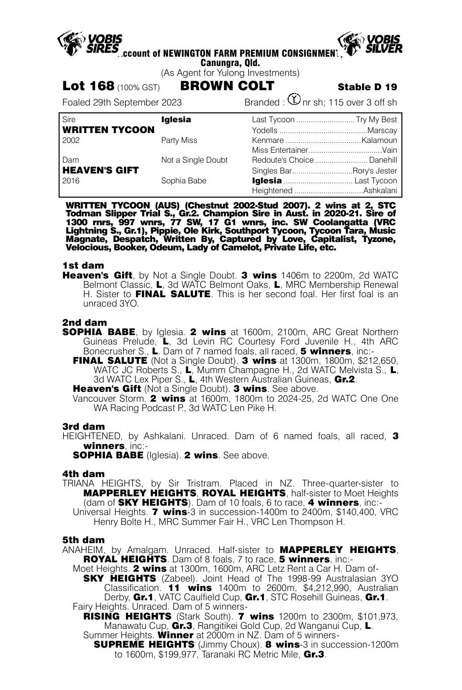 Pedigree - Lot 168
