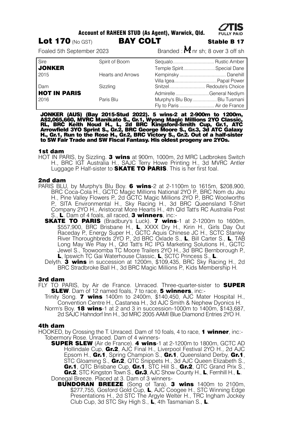Pedigree - Lot 170