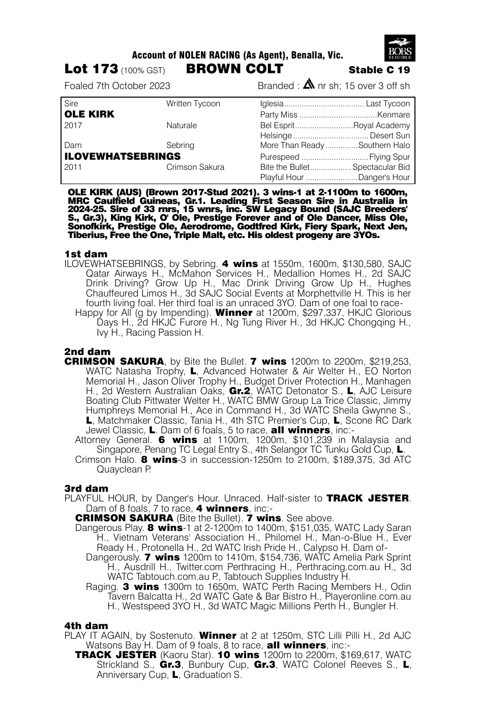 Pedigree - Lot 173
